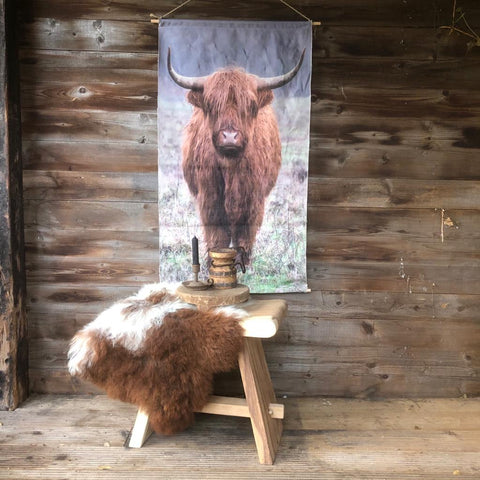 Image of Schapenvacht