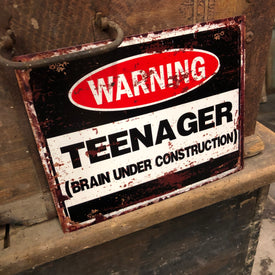 Man cave - Teenager brain under construction